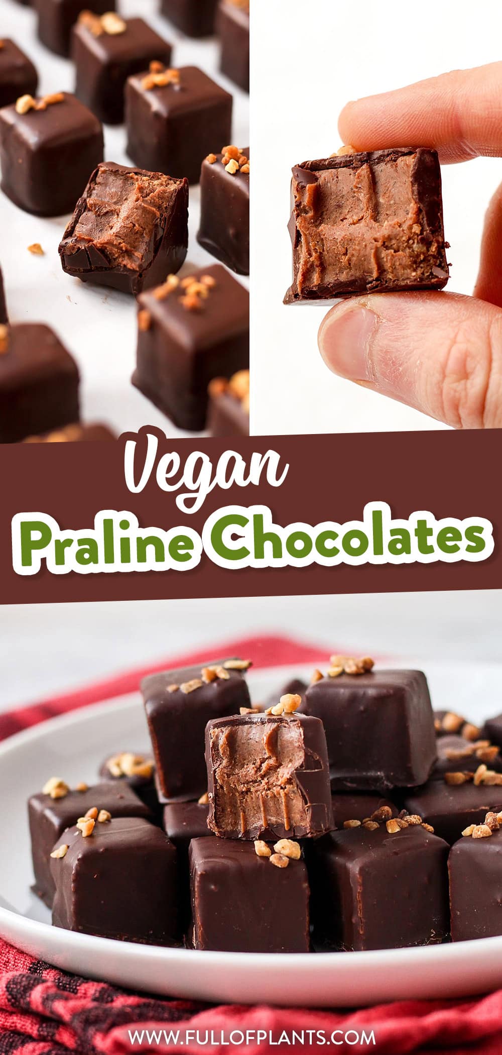 Amazing vegan chocolates filled with a tender caramelized nuts filling! It's nutty, infused with vanilla, and insanely addictive!