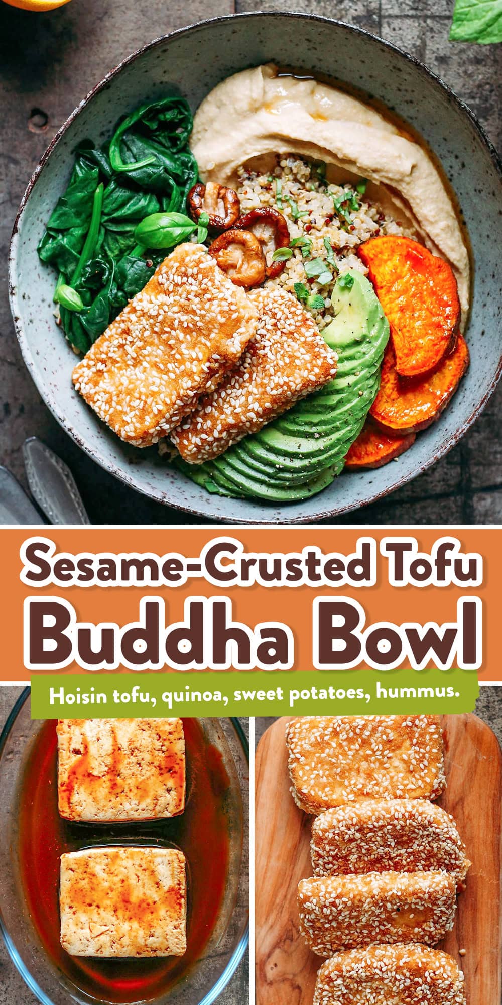Freakin' awesome buddha bowl with sesame crusted hoisin tofu, roasted sweet potatoes, quinoa, avocado, and spinach. Comforting, healthy, and filling!