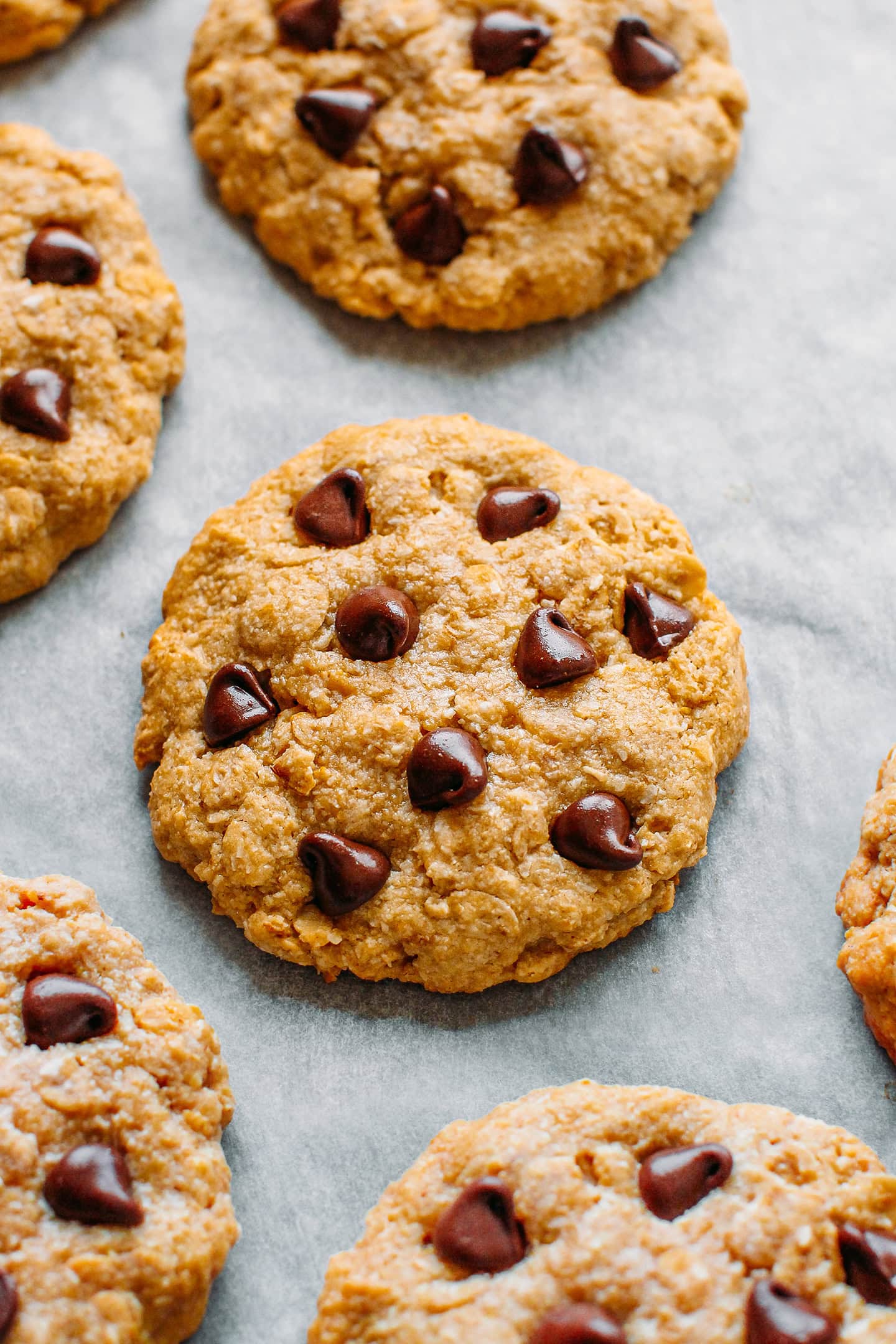 Close-up of vegan cookies with coconut and chocolate chips.
