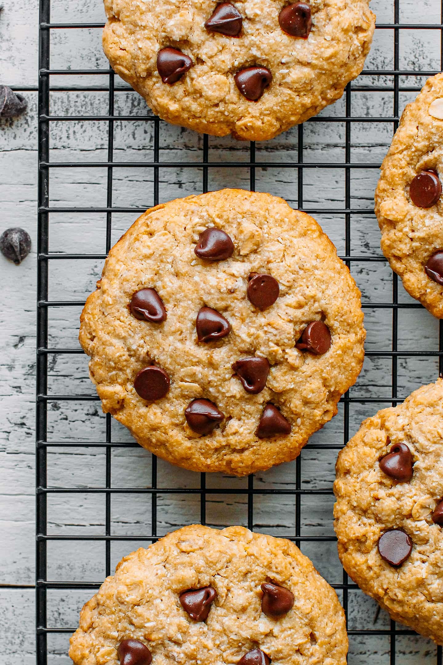 Oat and coconut cookies on a cooling rack.
