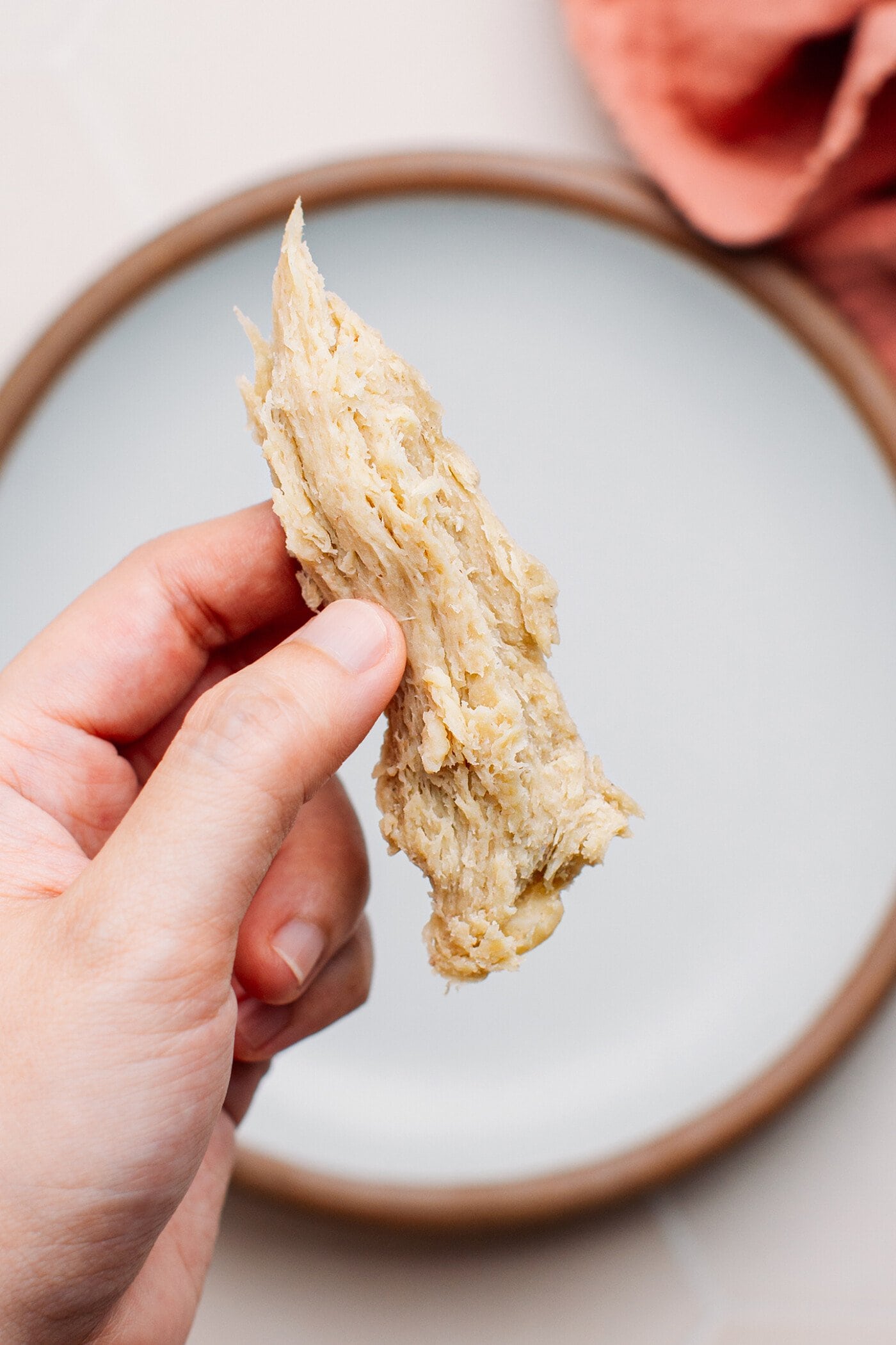 Close-up of a vegan chicken chunk.