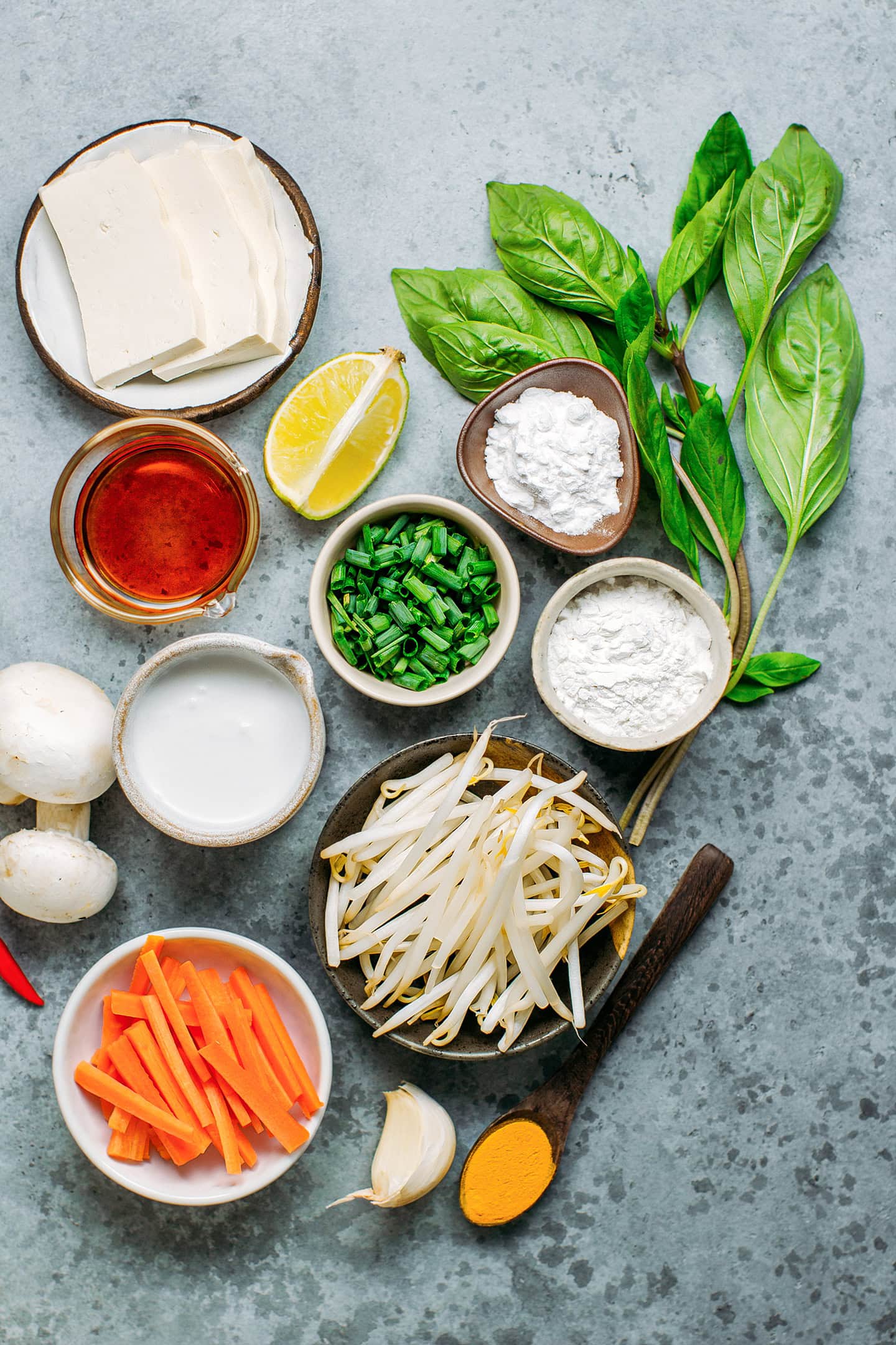 Ingredients like carrots, bean sprouts, mushrooms, rice flour, and green onions.