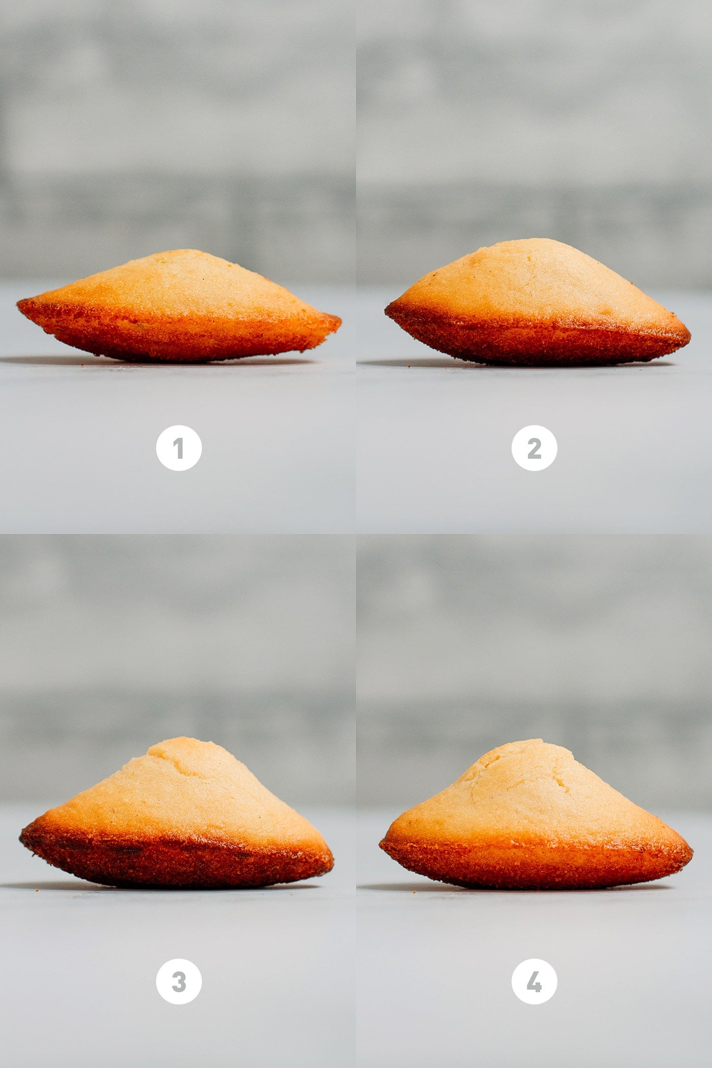 Vegan Gluten-Free Madeleines