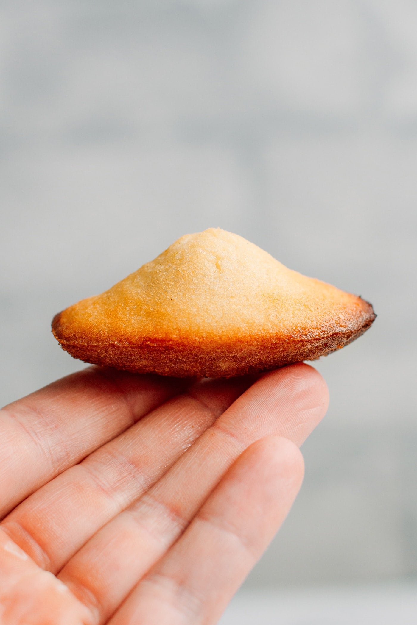 Vegan Gluten-Free Madeleines