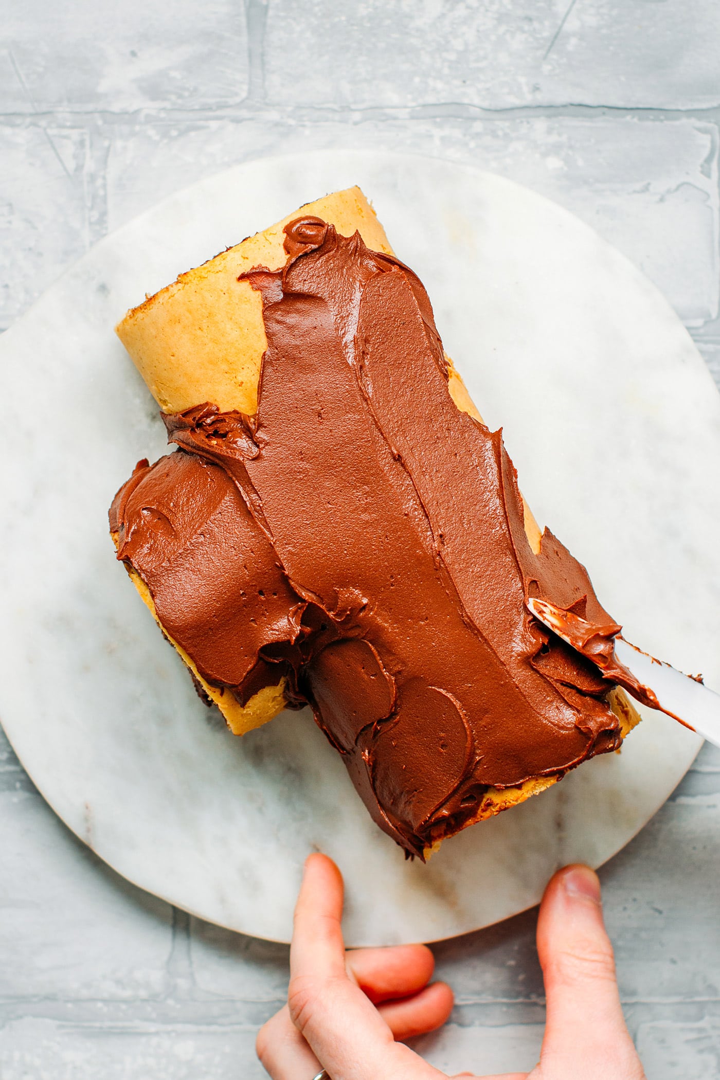 Vegan Chocolate Praline Yule Log