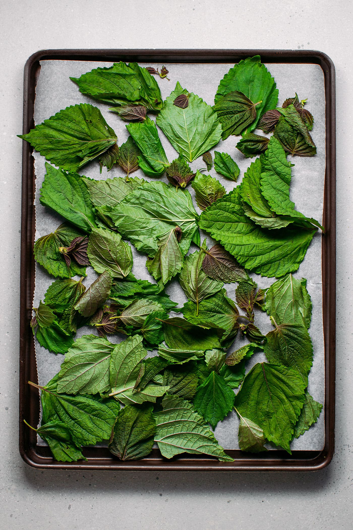 Green shiso leaves on a baking sheet.