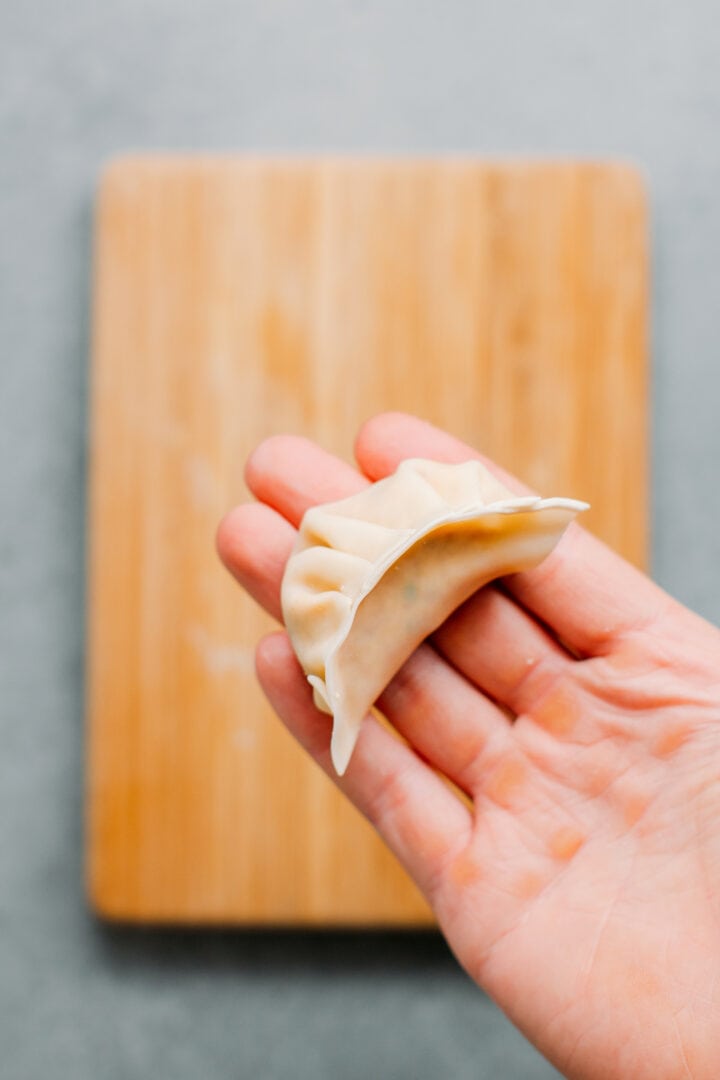 Wrapped dumpling.