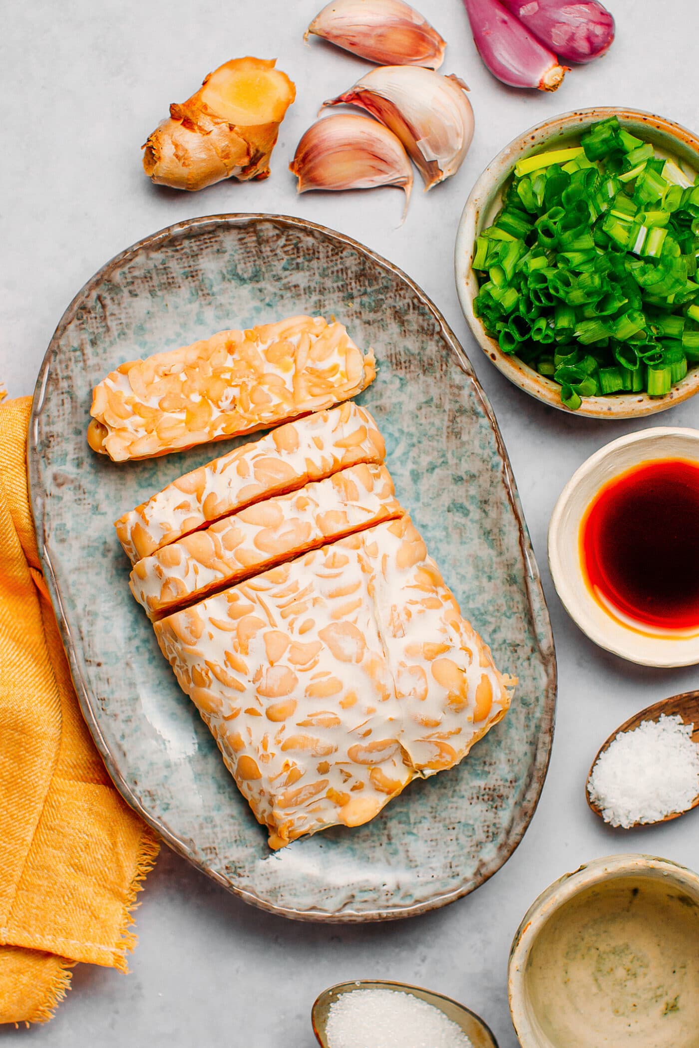 Ingredients like tempeh, green onions, garlic, shallots, ginger, and soy sauce.