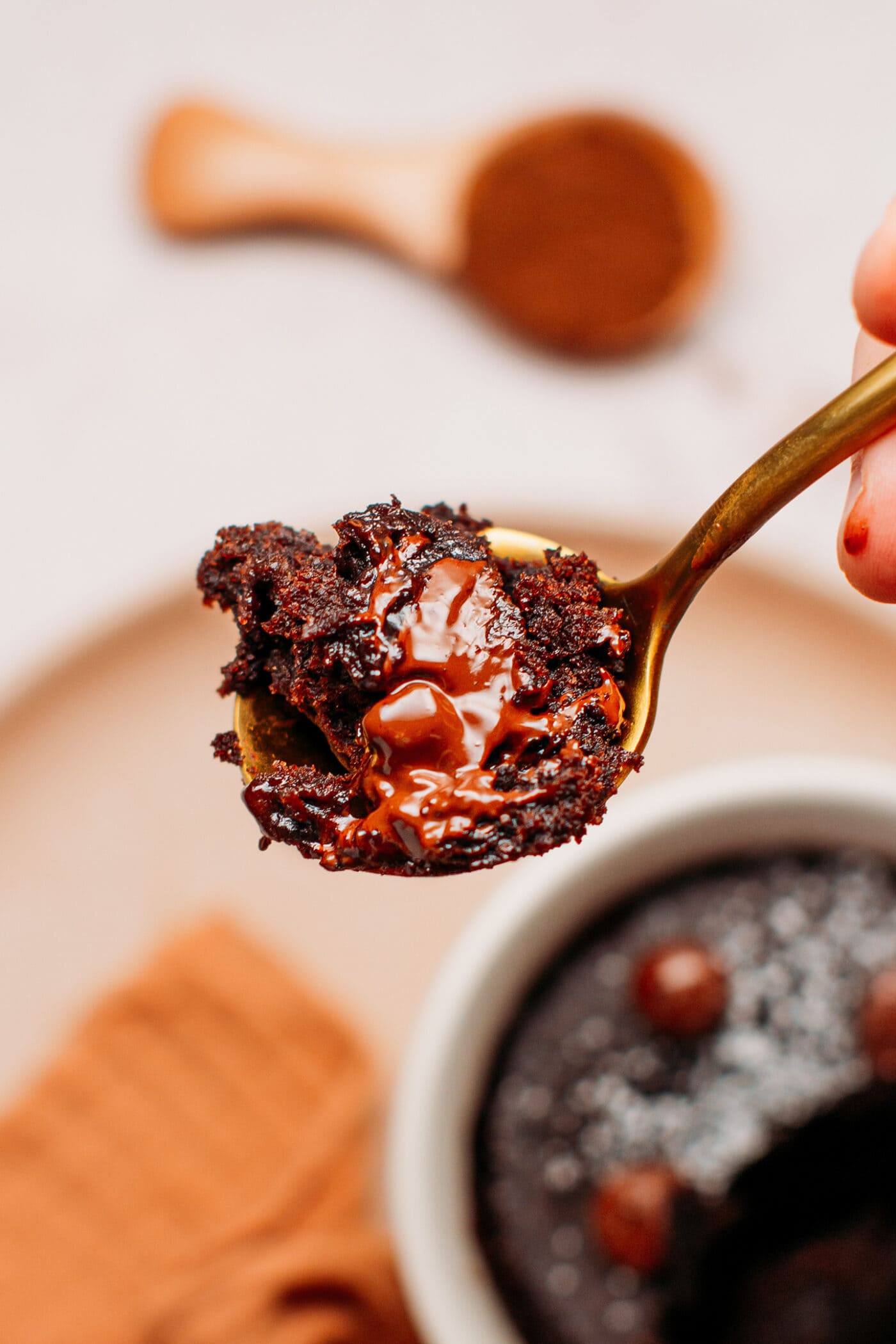 Close up of a spoonful of chocolate cake.