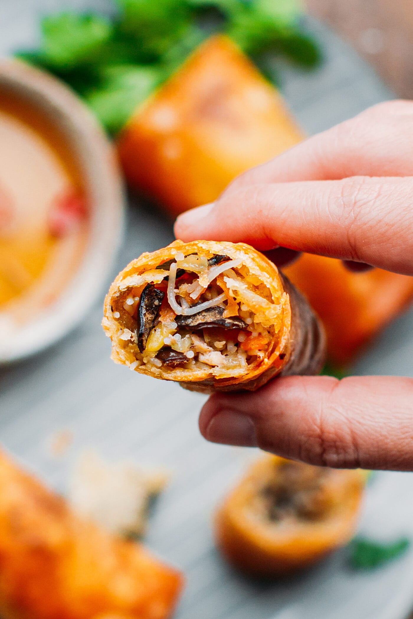 Close up of a fried vegan egg roll.