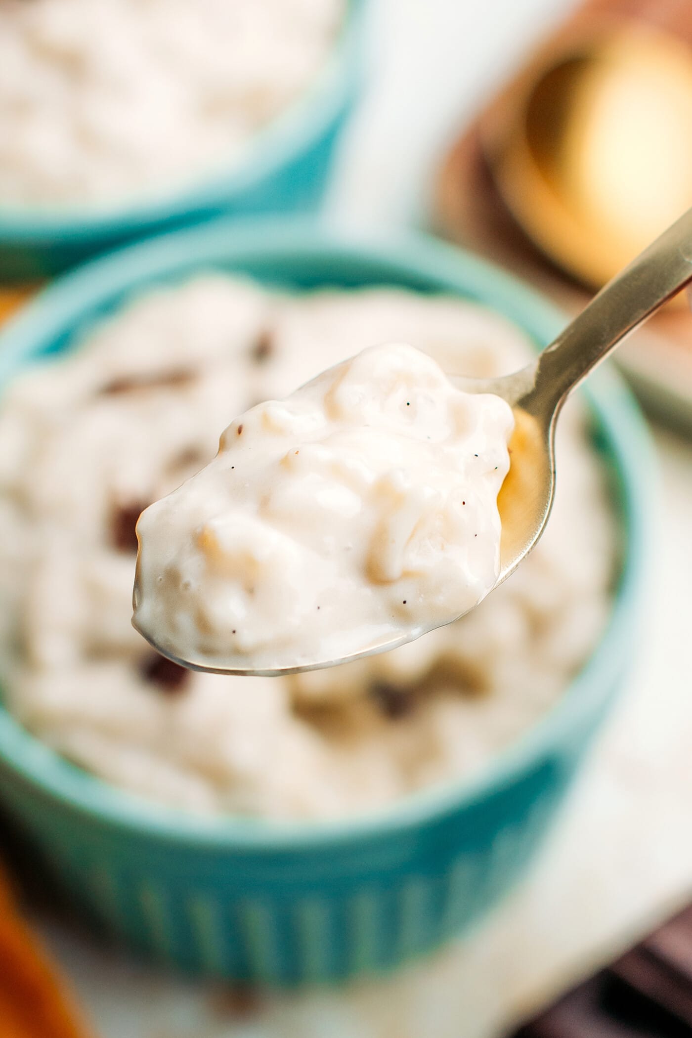Close-up of a spoonful of rice pudding.