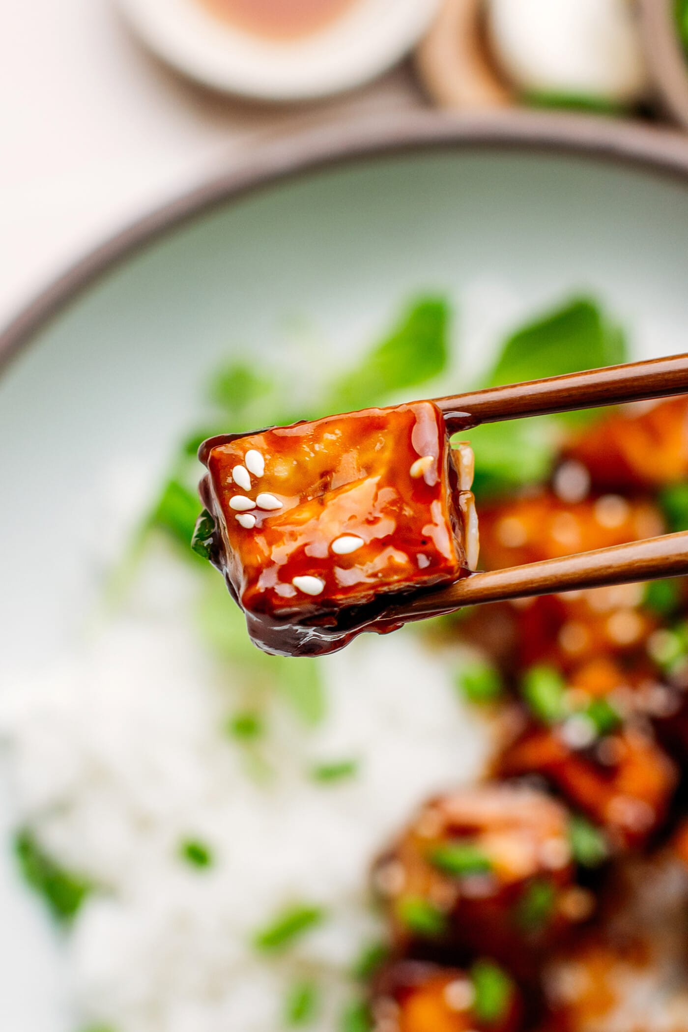 Close-up of teriyaki tofu.