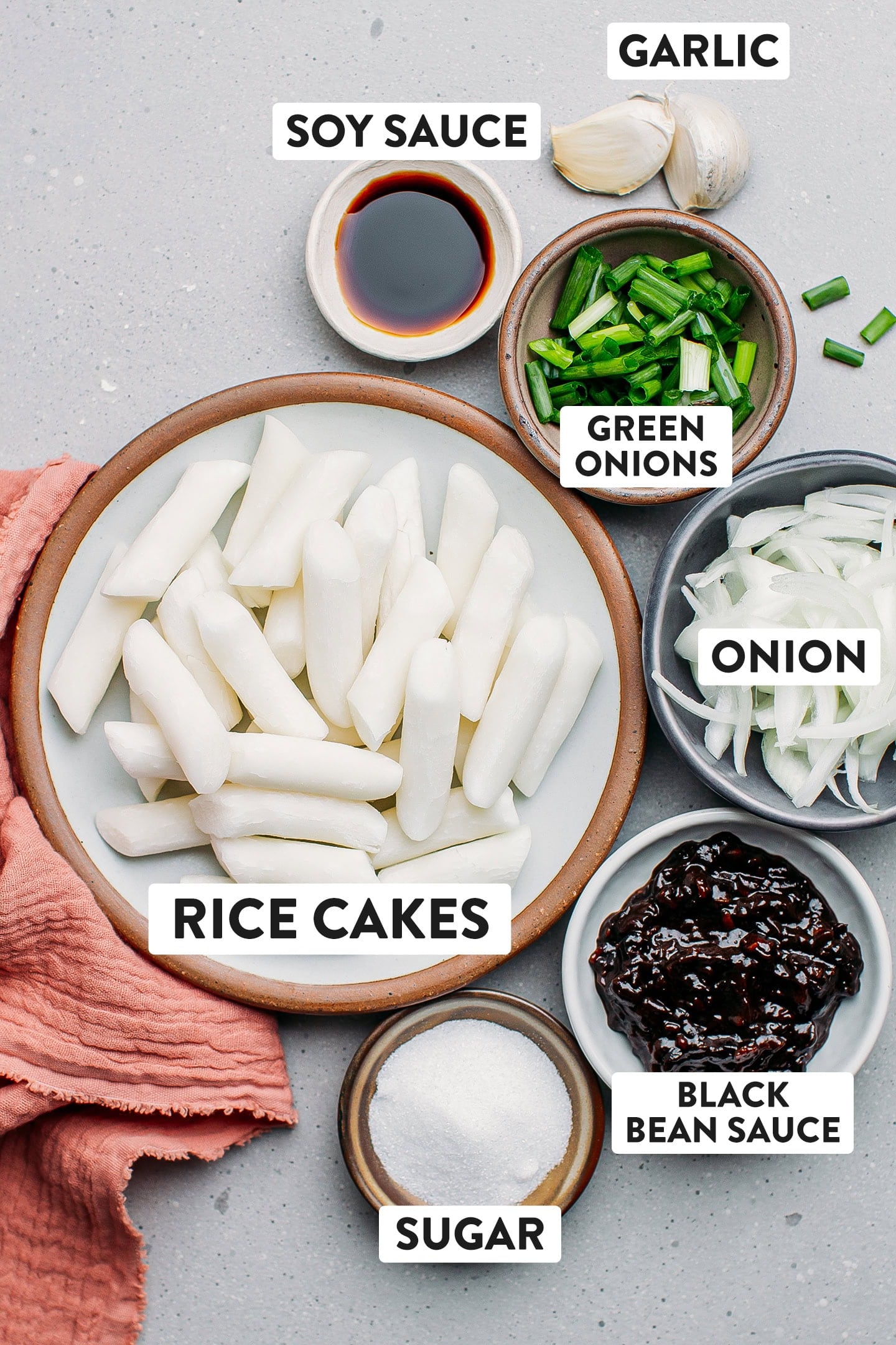 Ingredients like rice cakes, black bean paste, onions, and garlic.
