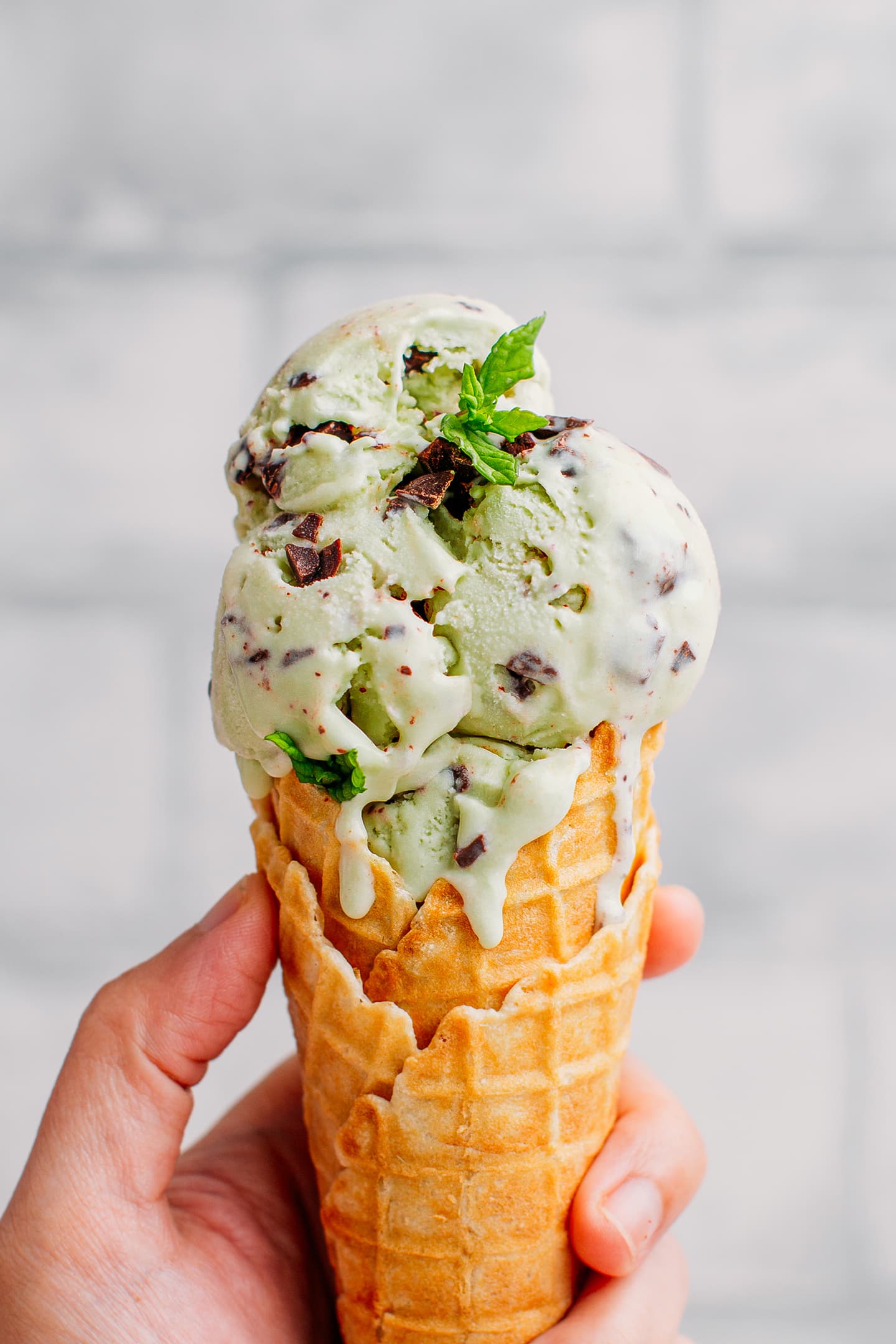 Hand holding a waffle cone filled with mint chocolate chip ice cream.