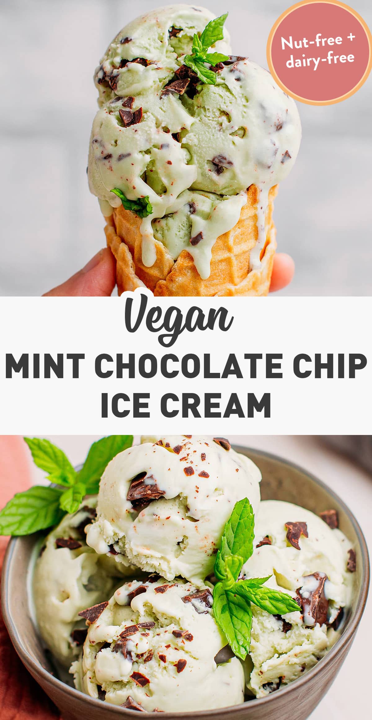 Infused with pure peppermint oil for freshness and loaded with plenty of chocolate chunks for crunchiness, this vegan mint chocolate chip ice cream is a real treat! It's scoopable straight from the freezer and unbelievably creamy. Nut-free and 100% dairy-free! #icecream #dairyfree