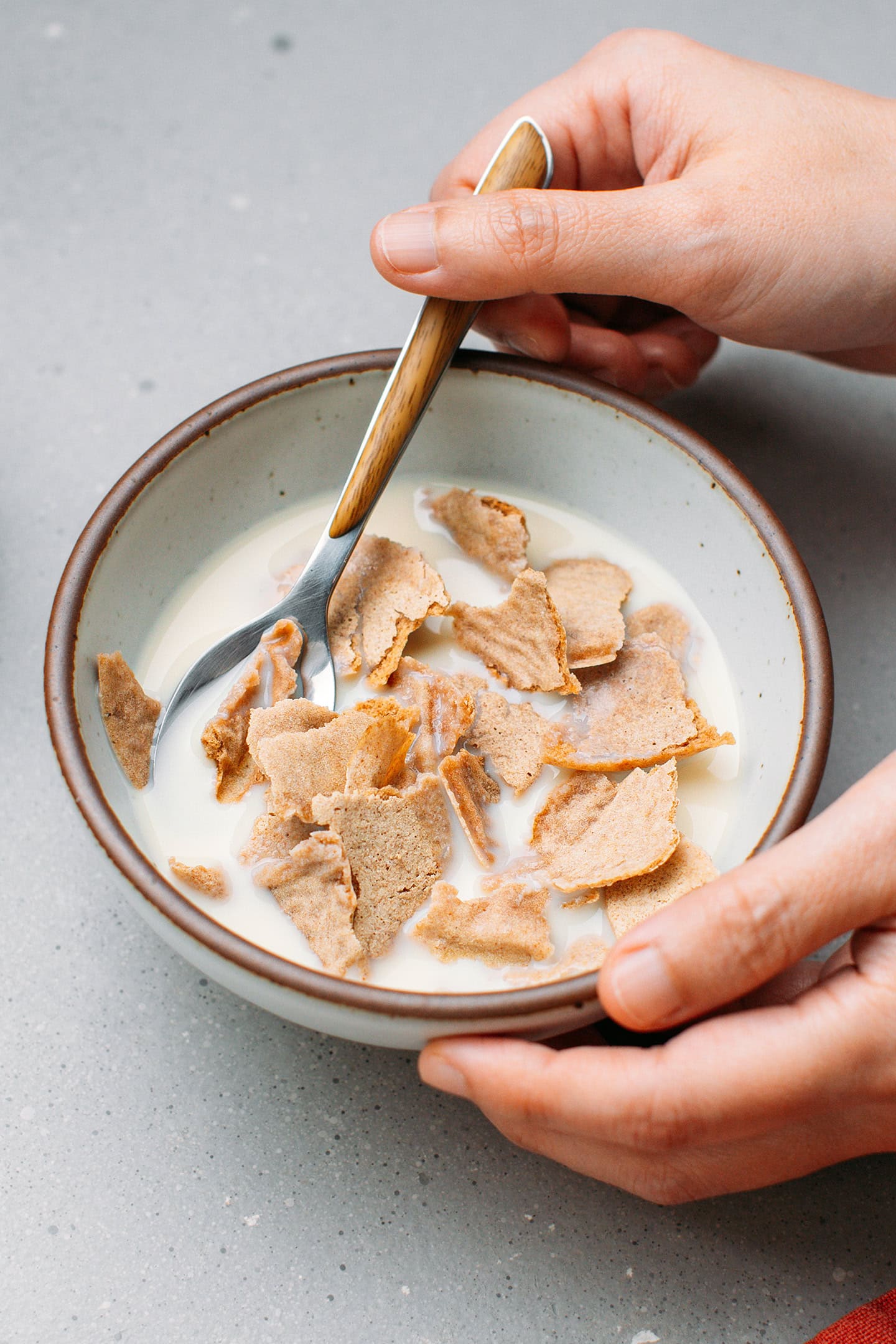 Bowl filled with buckwheat flakes and milk.