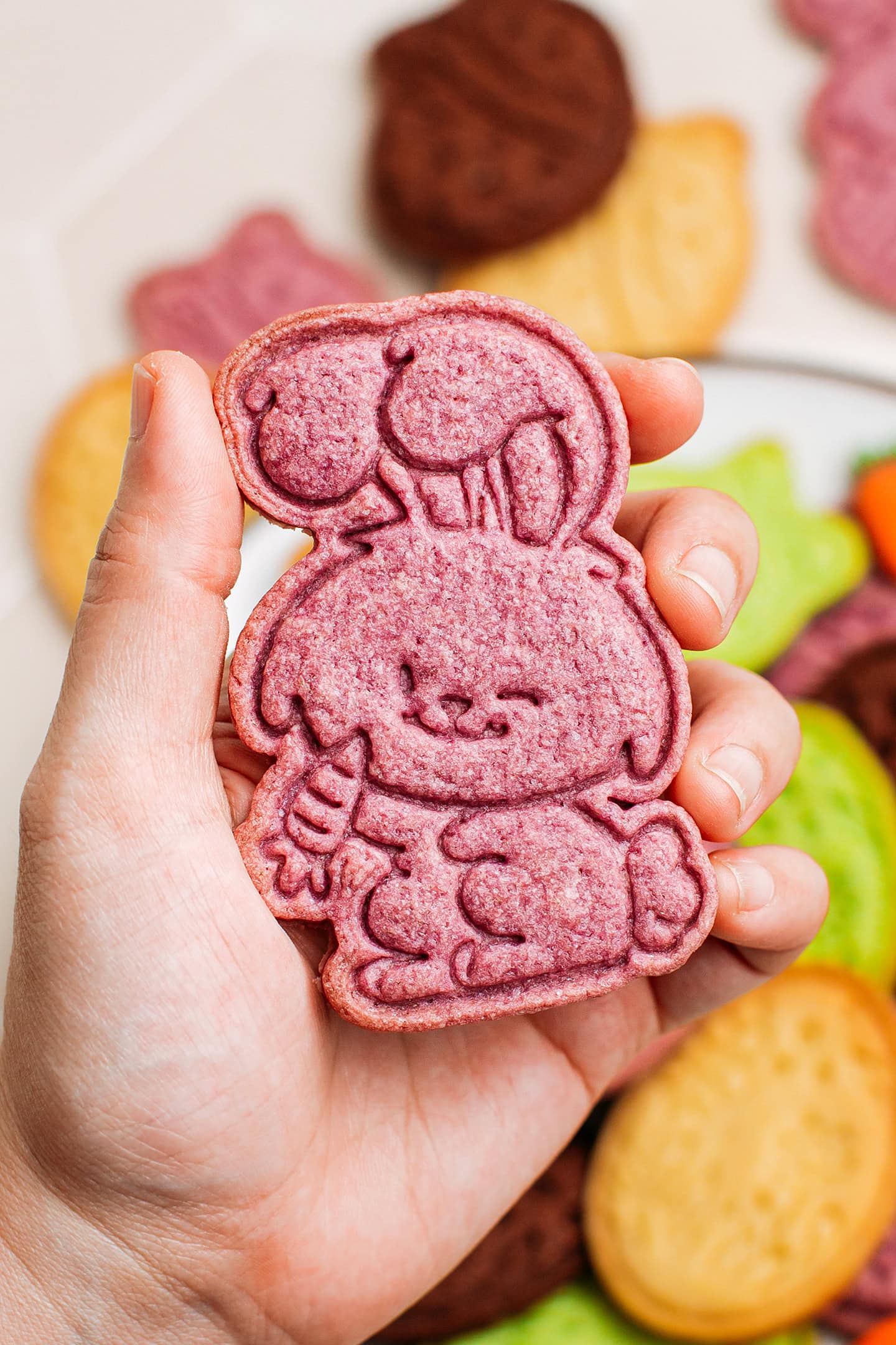 Holding a bunny-shaped sugar cookie.