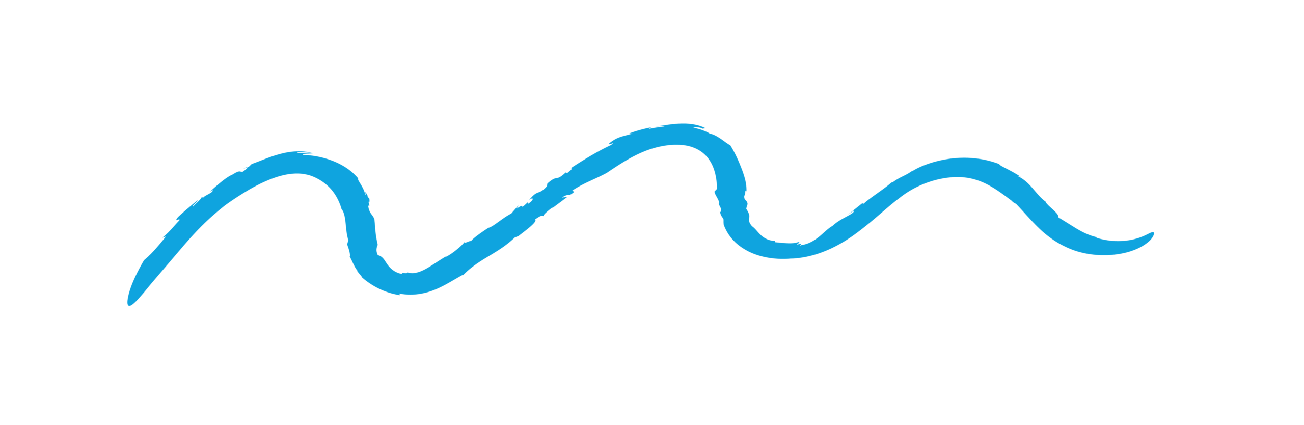 blue squiggle section divider