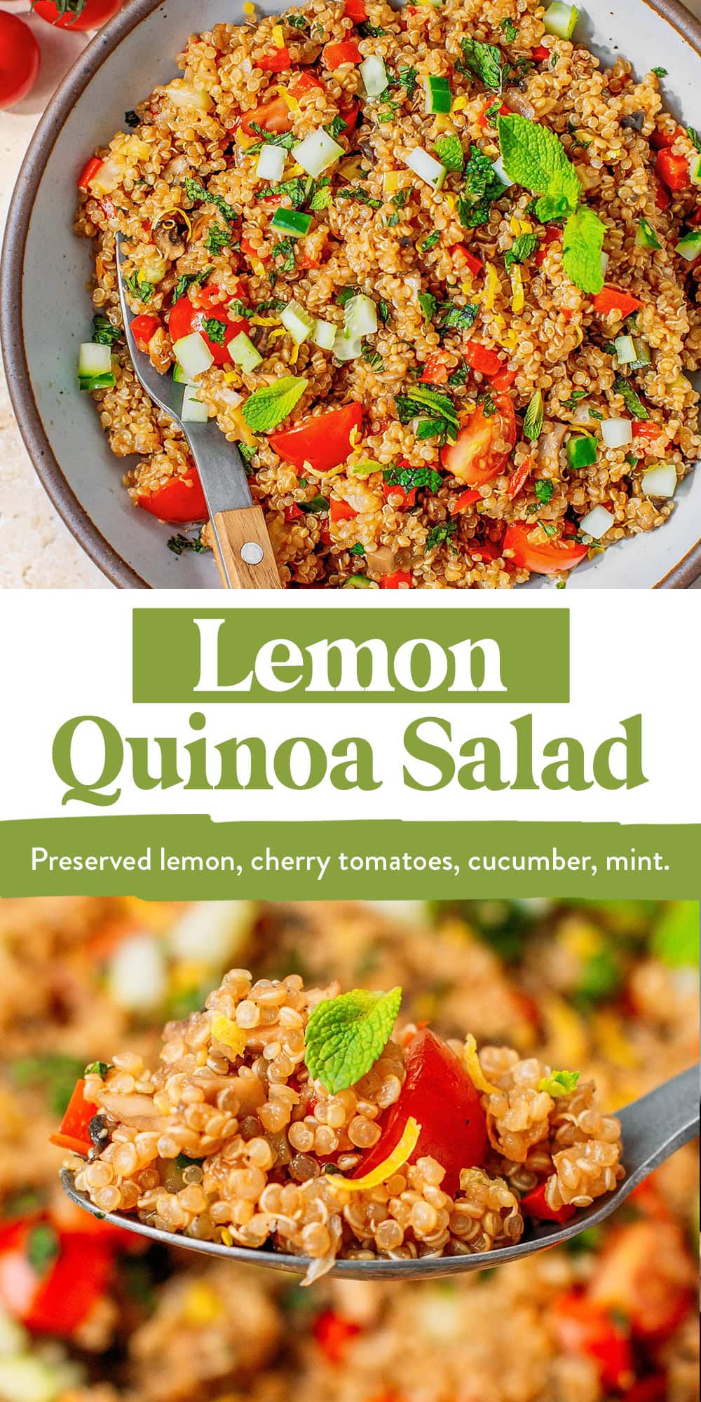 Fresh and bold lemon quinoa salad loaded with salty chunks of preserved lemon, crisp cucumber, cherry tomatoes, bell peppers, and mushrooms. Tossed in a tangy balsamic dressing and finished with chopped mint for brightness! It comes together in under an hour and works as a main or a side.