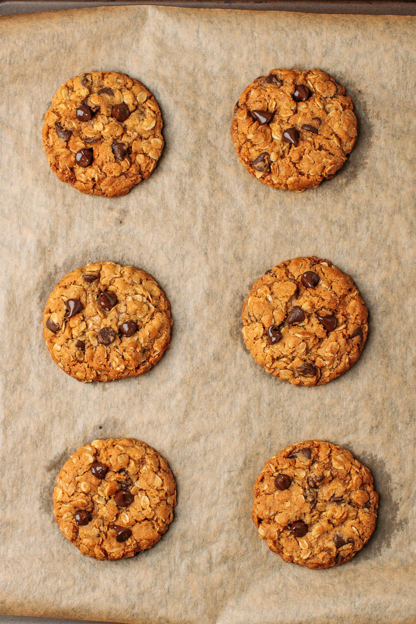 Six baked oatmeal chocolate chip cookies on a baking sheet.