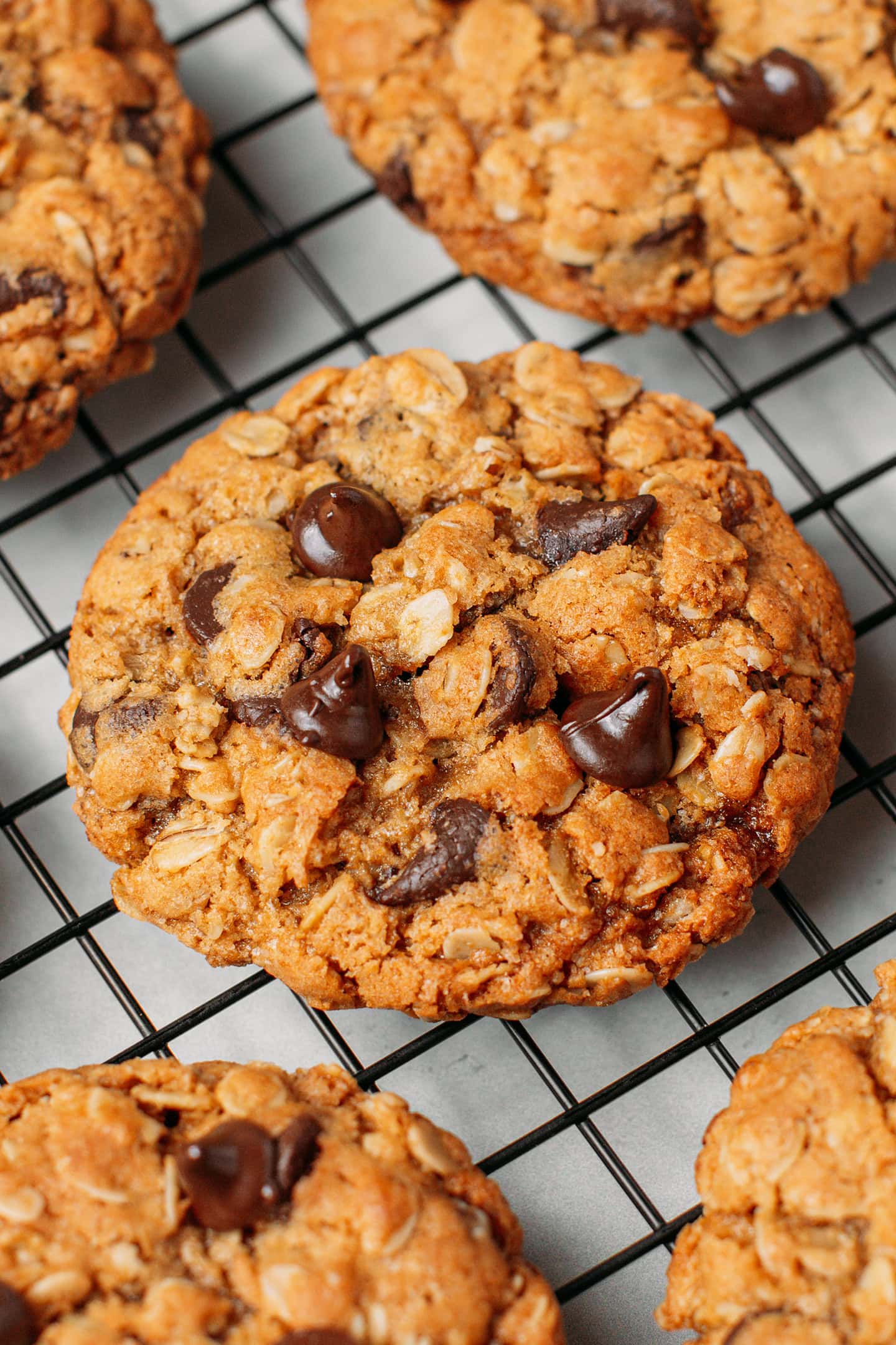 Close-up of a vegan oatmeal chocolate chip cookie on a cooling rack.